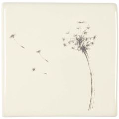 Winchester Classic Blown Dandelion 10.5 x 10.5cm