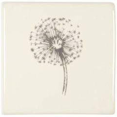 Winchester Classic Dandelion 10.5 x 10.5cm