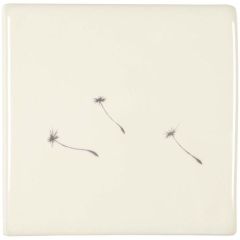 Winchester Classic Dandelion Seeds 10.5 x 10.5cm